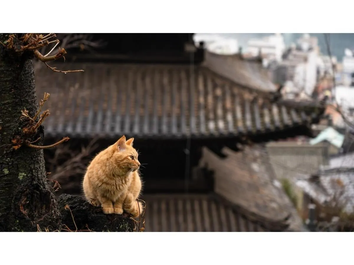 Webase Hiroshima - Vacation Stay 21869V Hotel