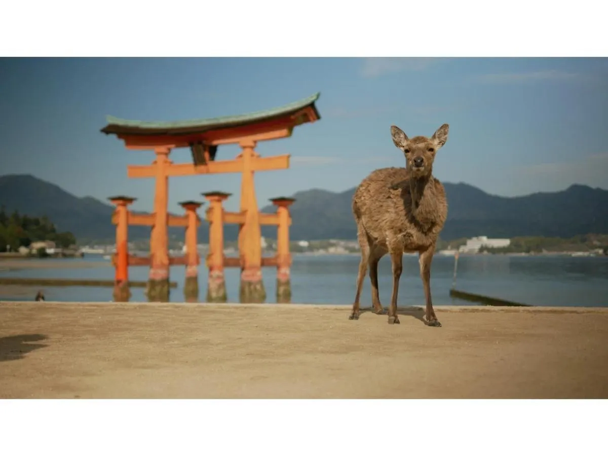 Hotel Webase Hiroshima - Vacation Stay 21869V